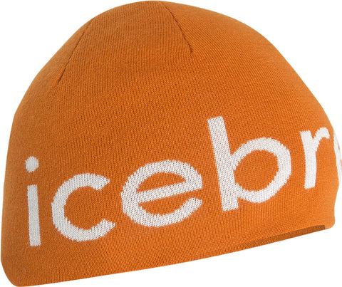 icebreaker Tuque en mérinos - Femme