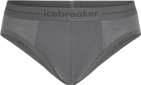 icebreaker Caleçon en mérinos 150 Anatomica - Homme