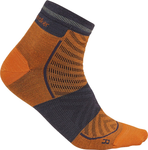 icebreaker Chaussettes Merino Blend Run+ Ultralight Mini - Homme