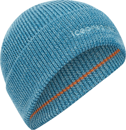 icebreaker Tuque en mérinos All Day - Unisexe