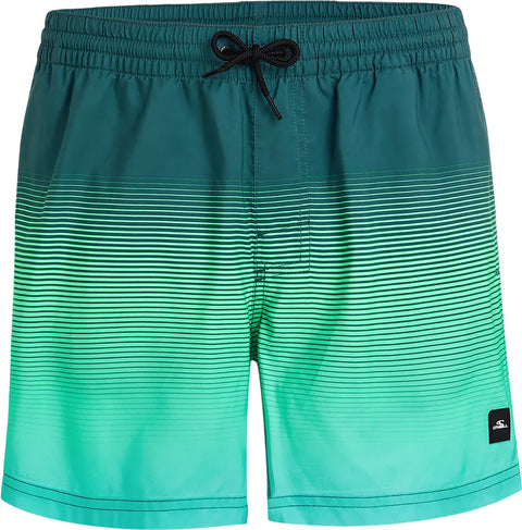 O'Neill Short de bain Cali Gradient Volley 15'' - Homme