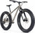 Panorama Cycles Vélo fat bike Torngat Ti - Brushed