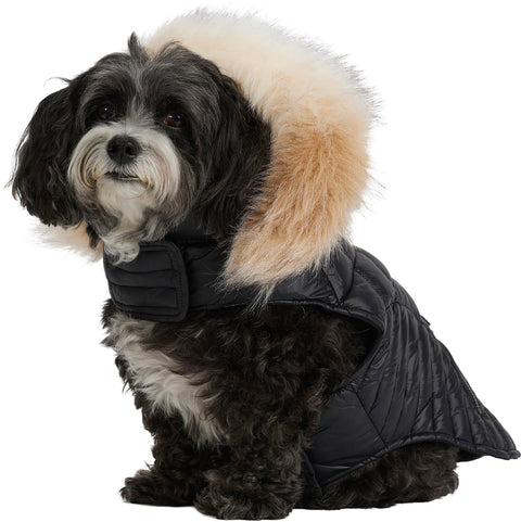 Pajar Manteau avec bordure en fausse fourrure pour chiens Zola