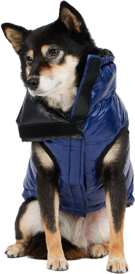 Pajar Manteau matelassé compressible avec col pour chiens Theo