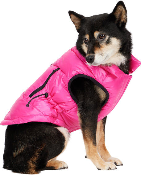 Pajar Manteau matelassé à taille cintrée et à poches à glissière pour chiens Rosie