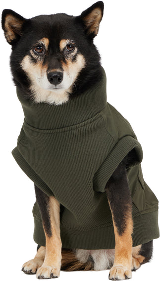 Pajar Blouson aviateur en matériaux assortis pour chiens Marley