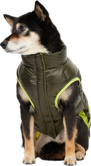 Pajar Veste matelassé pour chiens Nico