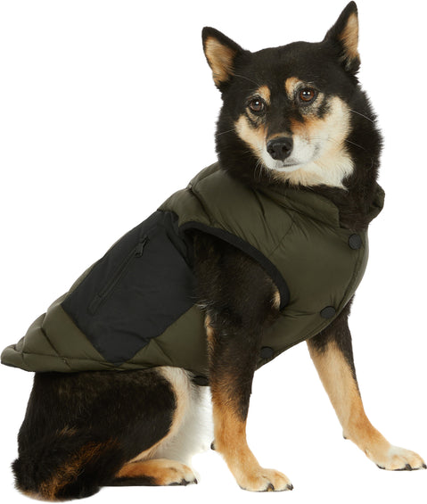 Pajar Manteau avec attache de laisse pour chiens Beau