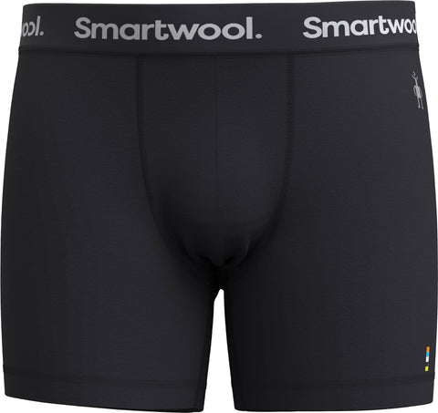 Smartwool Boxeurs longs en boîte Everyday Merino - Homme