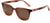 Sunski Lunettes de soleil Ventana - Caramel Amber