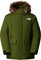 The North Face Parka McMurdo - Homme - Woodland Green