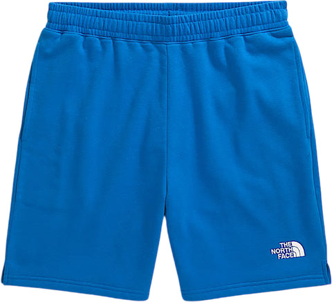 The North Face Short Evolution - Homme