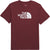 The North Face T-shirt à manches courtes Core Half Dome - Homme - Sumac - TNF White