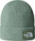 The North Face Tuque à revers TNF Logo Box - Unisexe - Slate Moss - Bark Mist