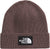 The North Face Tuque à revers TNF Logo Box - Unisexe - Tawny Quartz