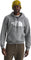 The North Face Chandail à capuchon Evolution Half Dome - Homme - TNF Mid Grey Heather