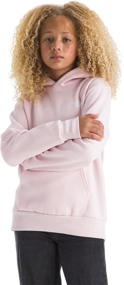 The North Face Chandail à capuchon graphique Evolution Box NSE - Enfant