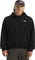 The North Face Chandail à capuchon surdimensionné Evolution Simple Dome - Homme - TNF Black