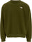 The North Face Chandail à col rond surdimensionné Evolution Simple Dome - Homme - Woodland Green