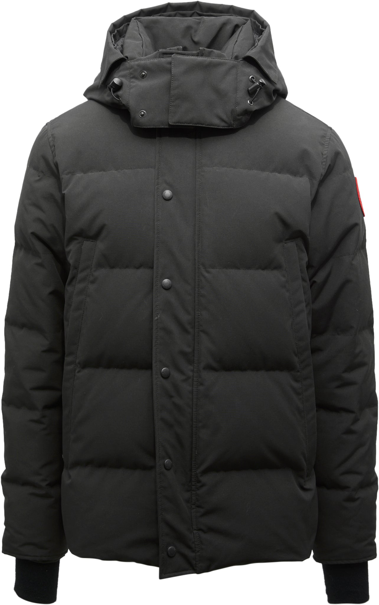 Canada Goose Parka Langford Heritage avec fourrure - Homme