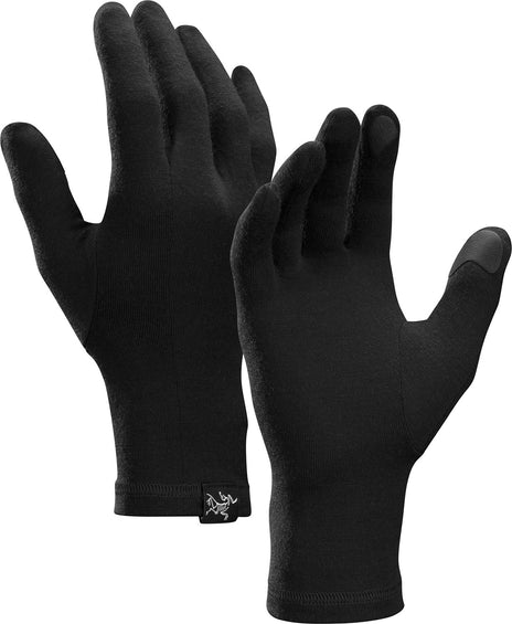 Arc'teryx Gants Gothic - Unisexe