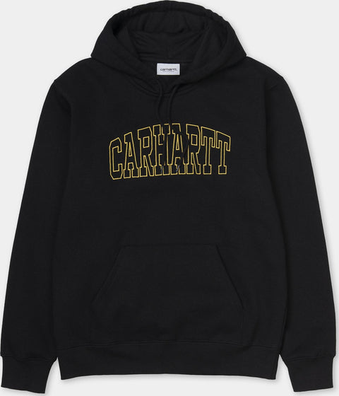 Carhartt Work In Progress Chandail à capuchon Theory Embroidery - Homme