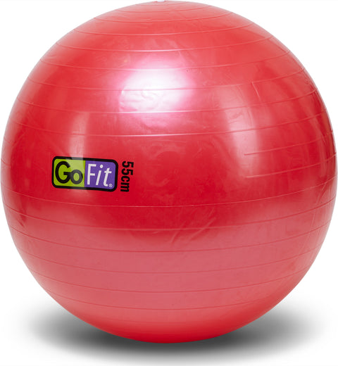 GoFit Ballon de stabilité 55 cm