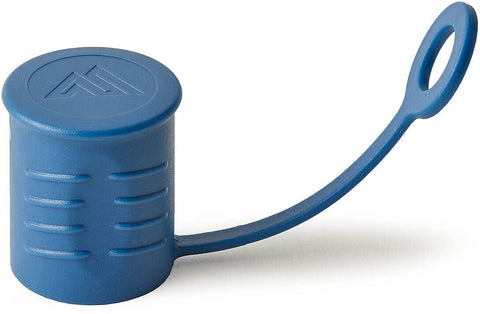 Gregory Capuchon de valve