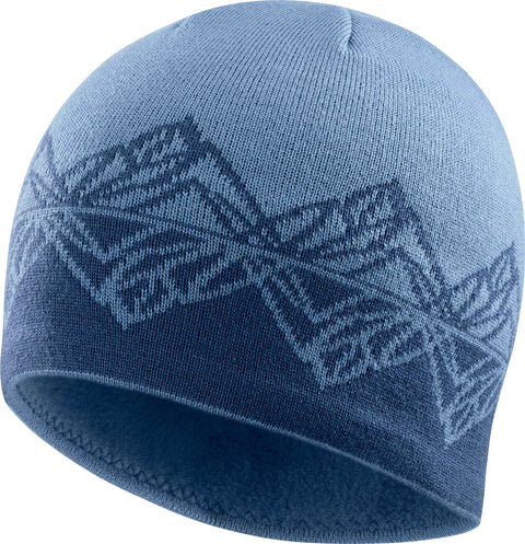 Salomon Tuque Graphic - Unisexe