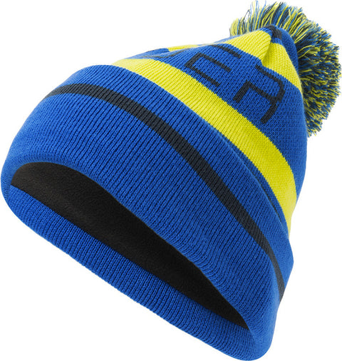 Spyder Tuque Icebox Homme