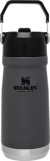 Stanley Bouteille d'eau à paille flexible The IceFlow 17oz