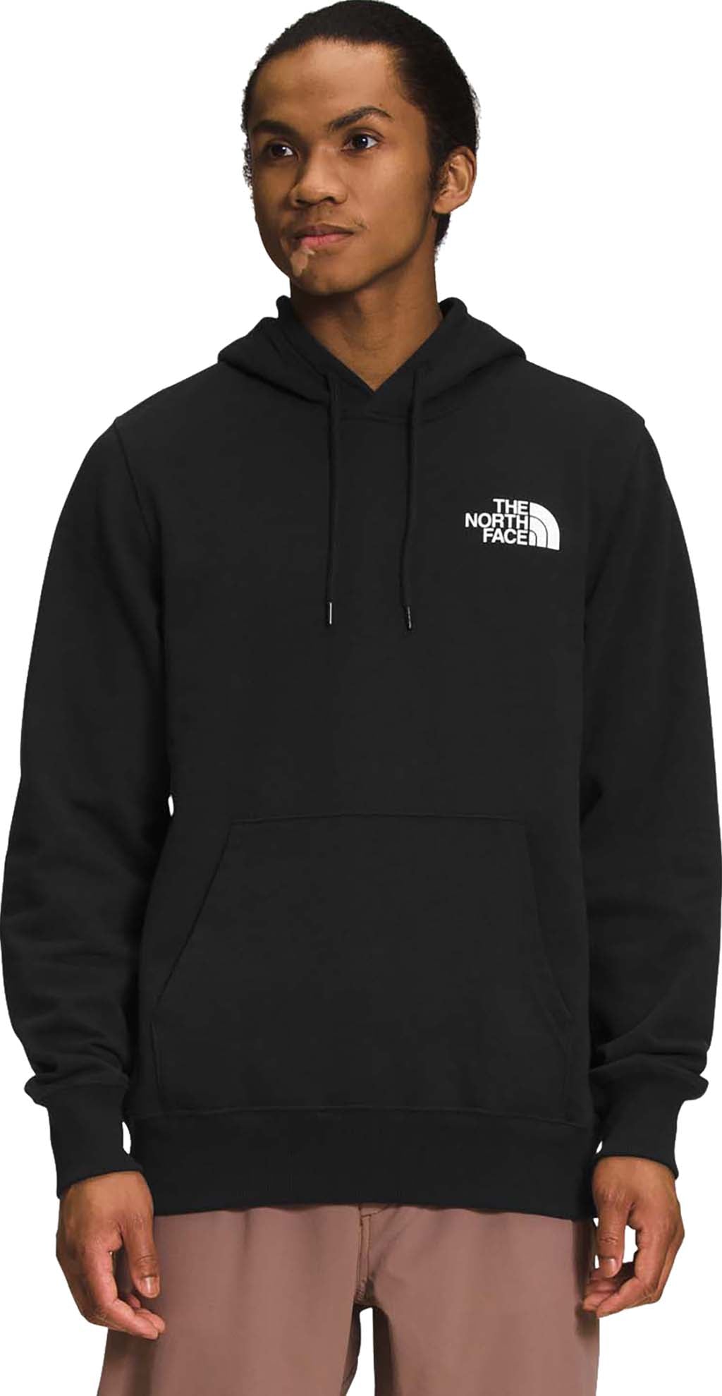 hoodie homme north face