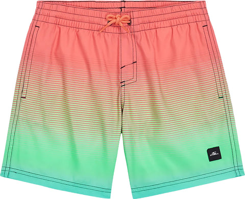 O'Neill Short de bain Cali Gradient Volley 14