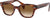 Ray-Ban Lunettes de soleil RB0880S - Unisexe - Striped Havana - Clear Gradient Brown