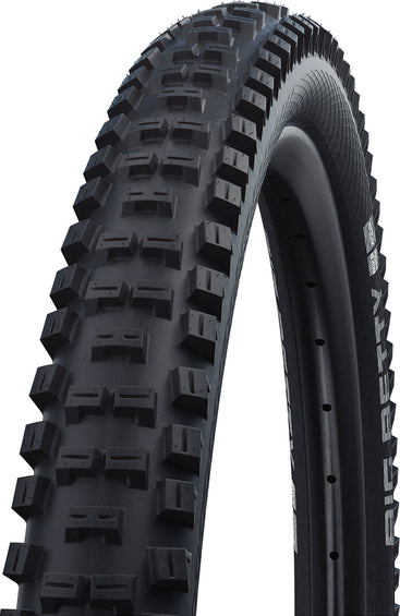 Schwalbe Pneu pour vélo de montagne Big Betty - 29